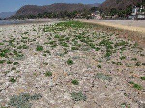 1000117_556834547711841_1889784085_n