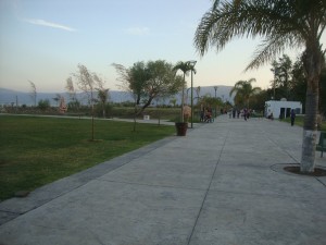 MALECON 1