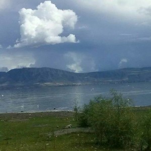 1508614_710452152350079_1416584772320459044_n