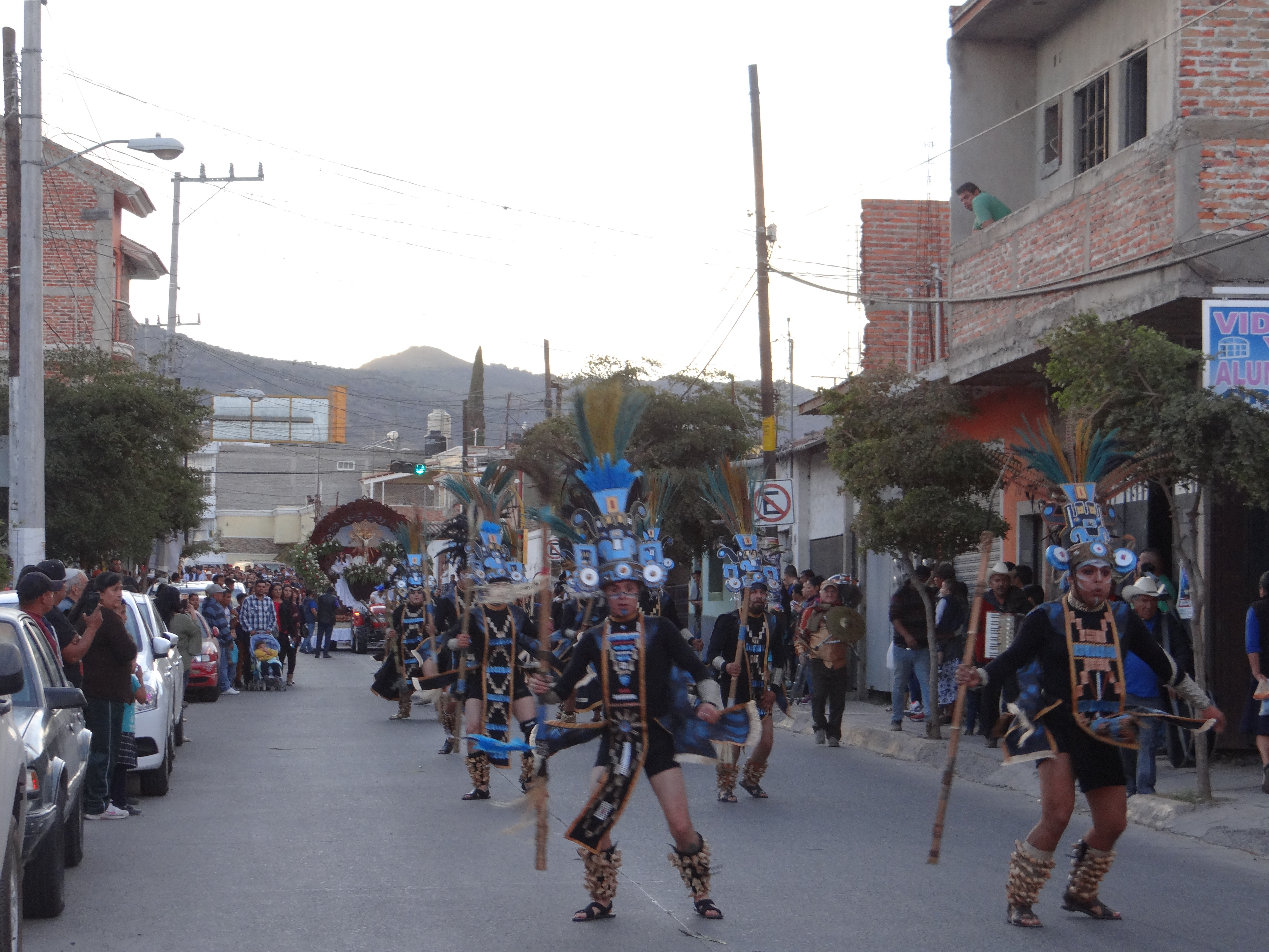 19 DE ENERO DIA DE LOS AGRICULTORES