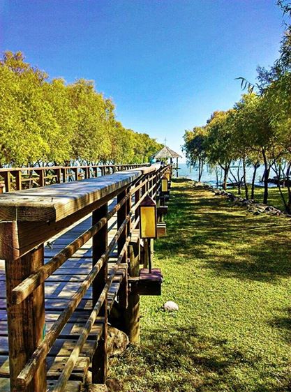 Tardes en el malecón de Jocotepec 2016