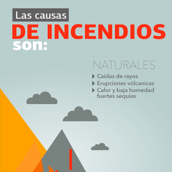 Ayudemos a evitar y prevenir incendios forestales