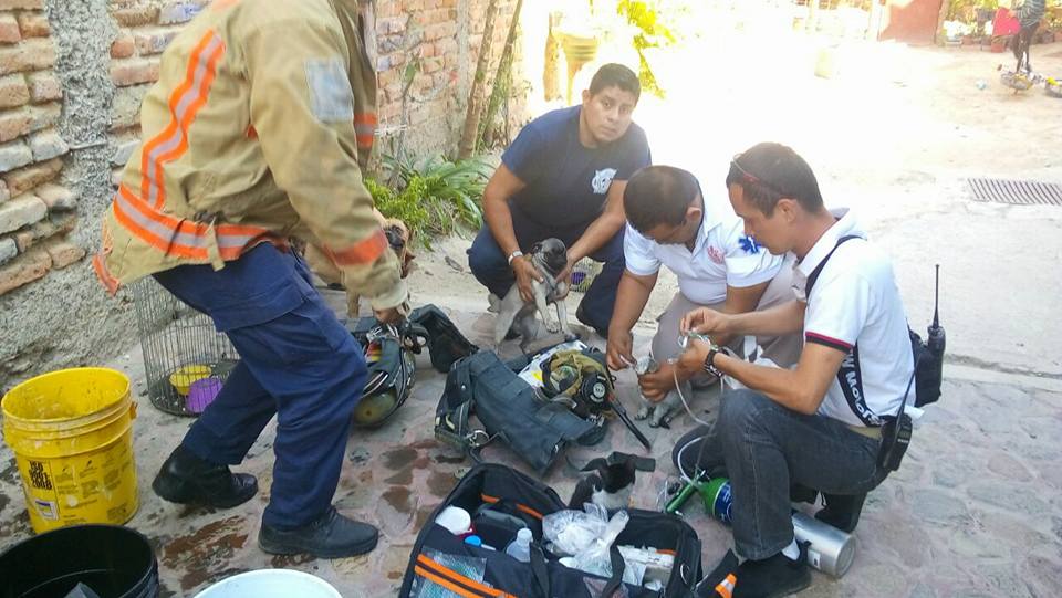 INCENDIO EN CASA HABITACIÓN ES CONTROLADO