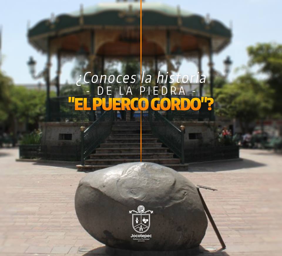 ? CONOSES ALGUNA HISTORIA SOBRE EL PUERCO GORDO ¿