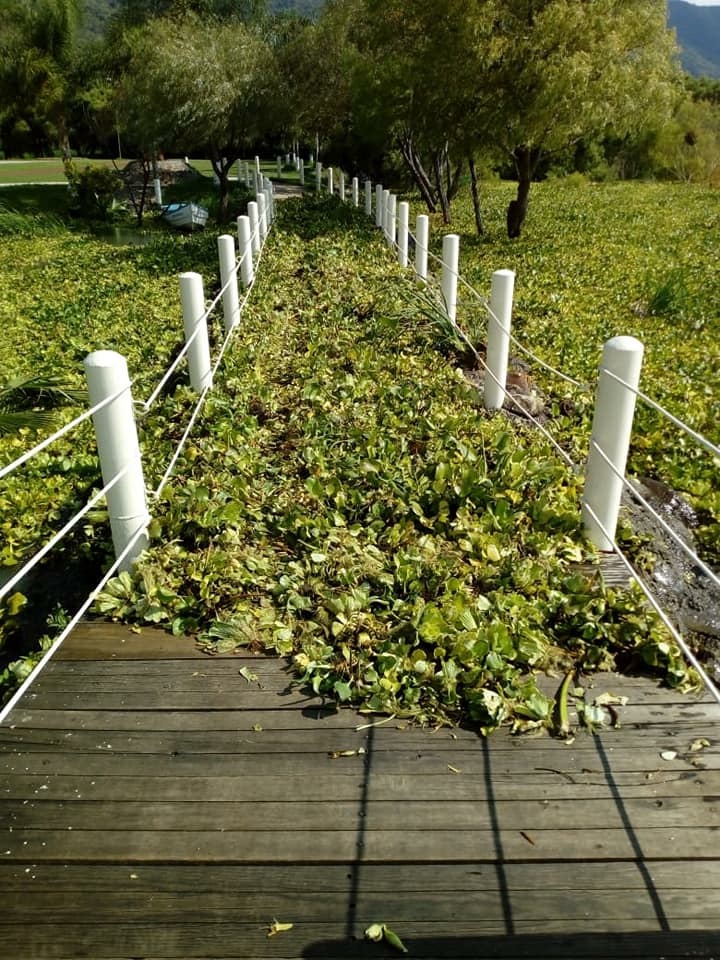 LIMPIZA EN EL AREA DEL MALECÓN,JOCOTEPEC