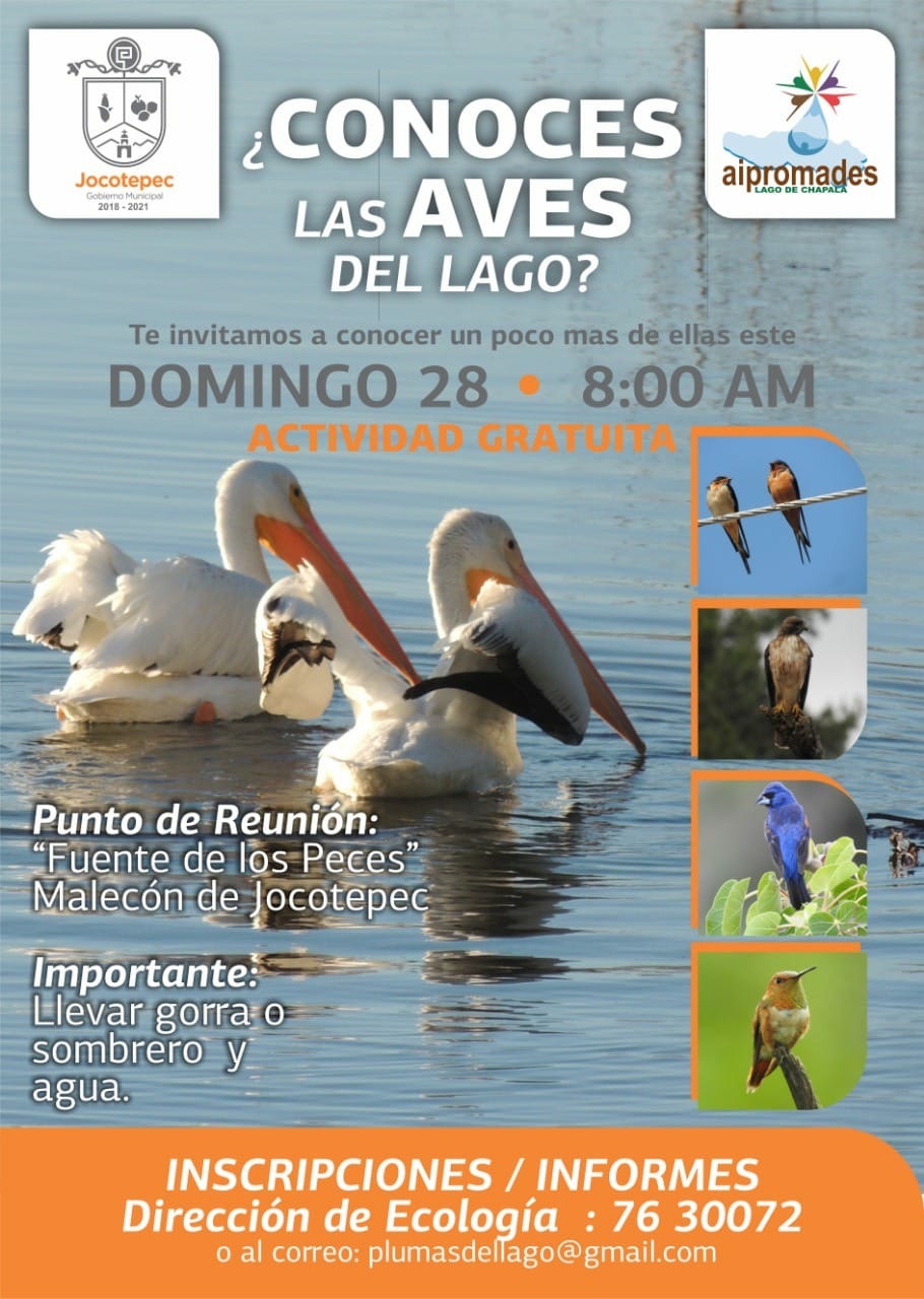 ? Conoces las aves de nuestro lago?