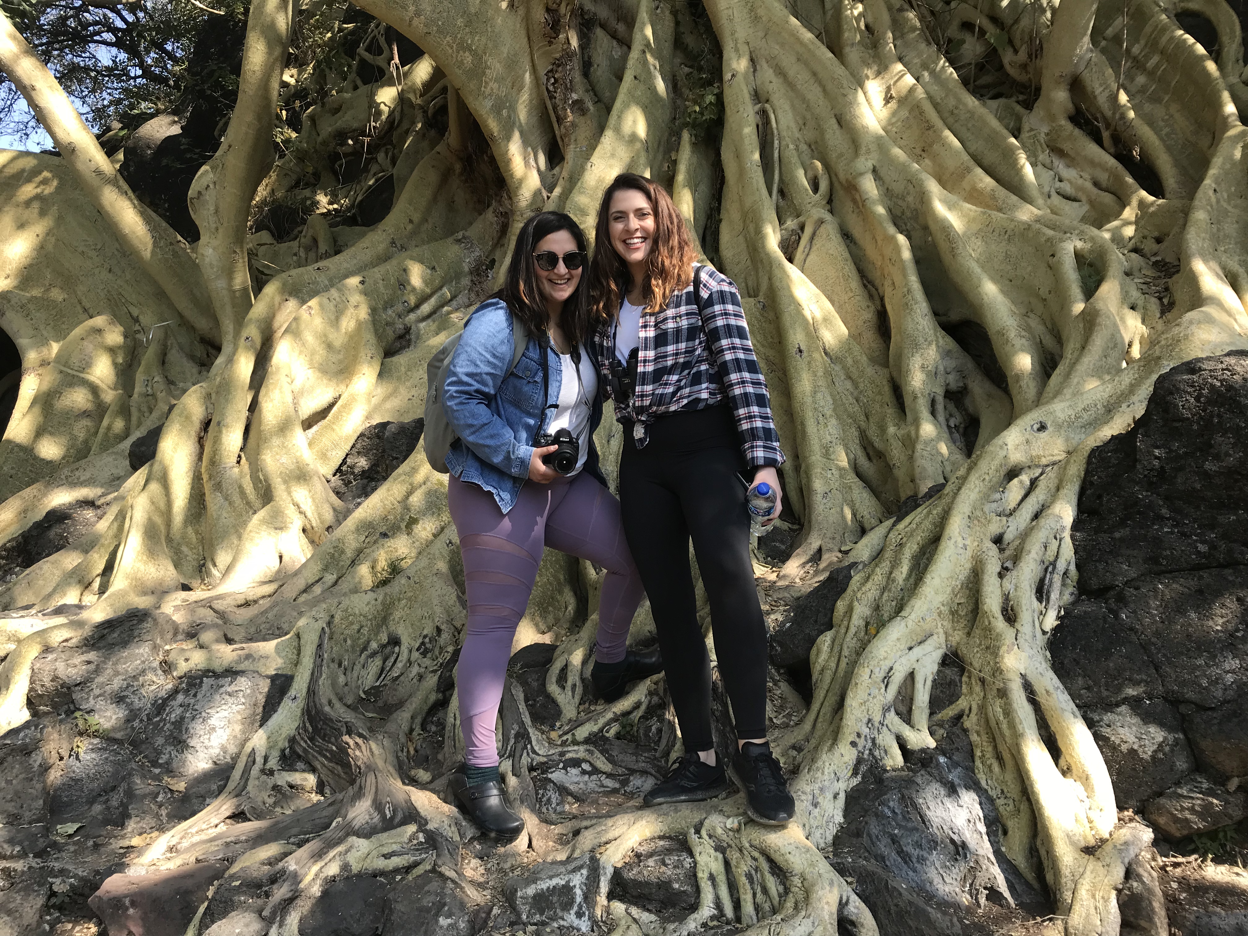 Paseo a la isla de mezcala