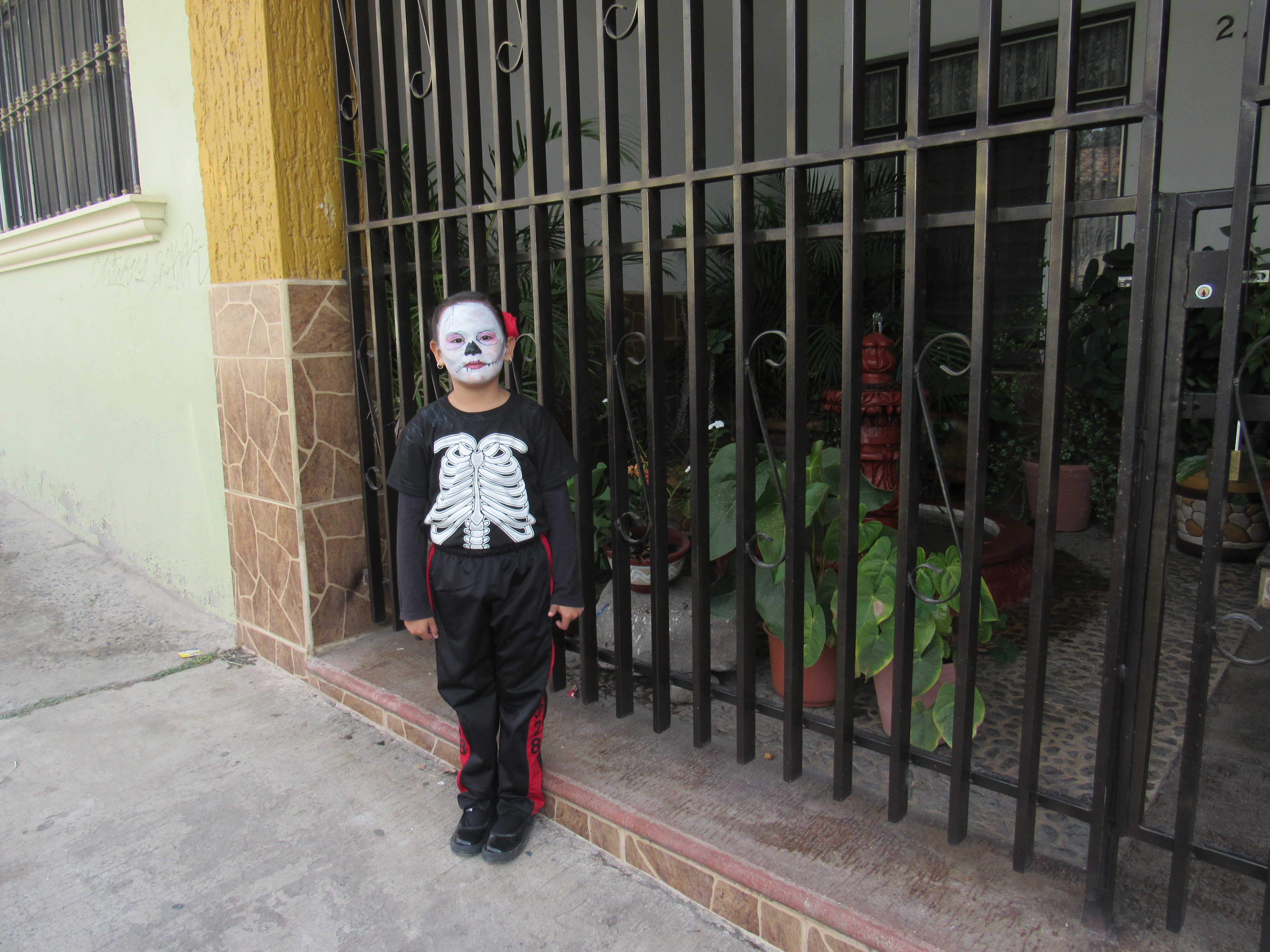 Día de difuntos 2019