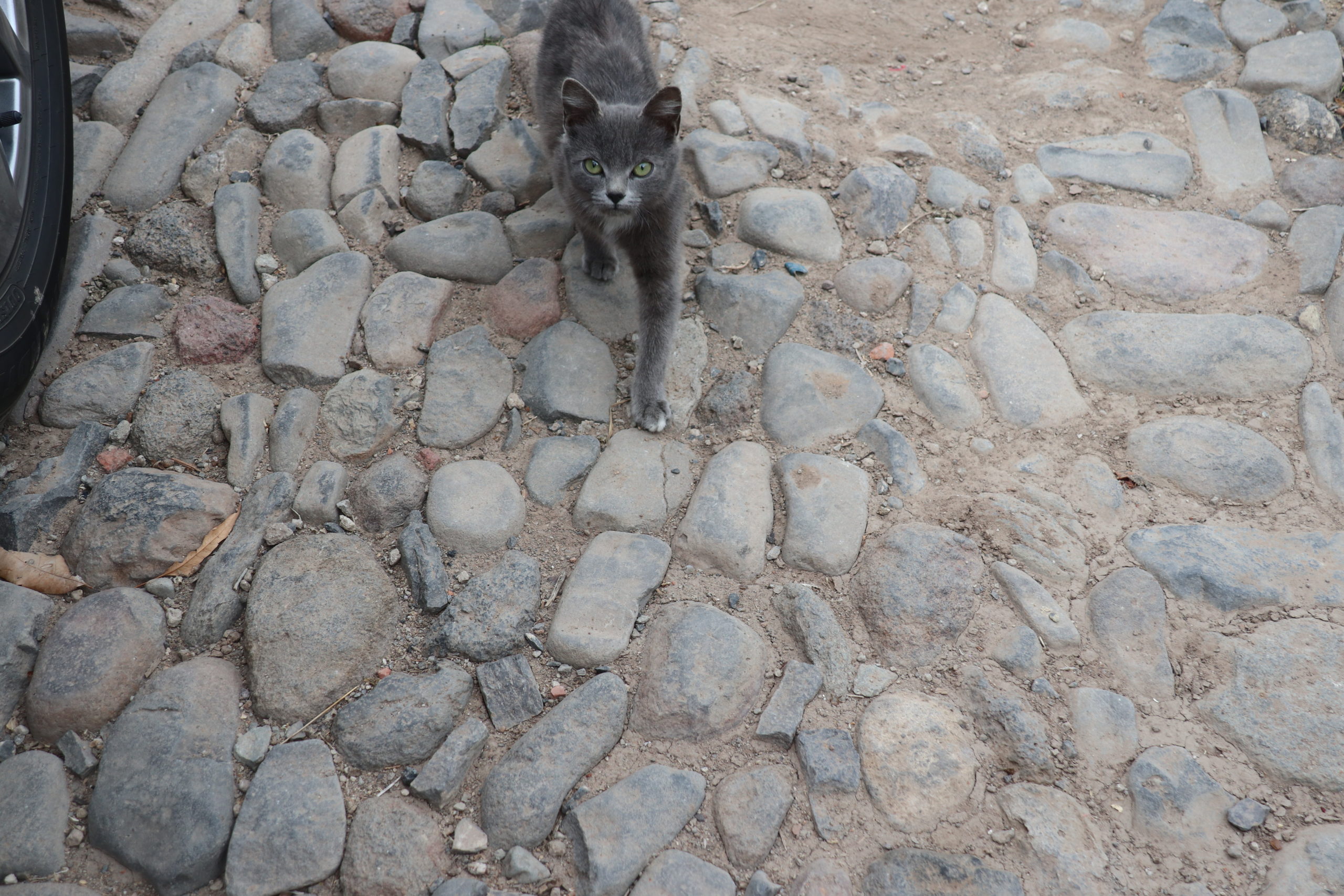 Recuerdos de mi rancho